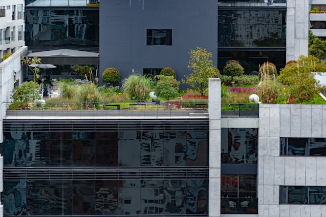 Rooftop Gardens