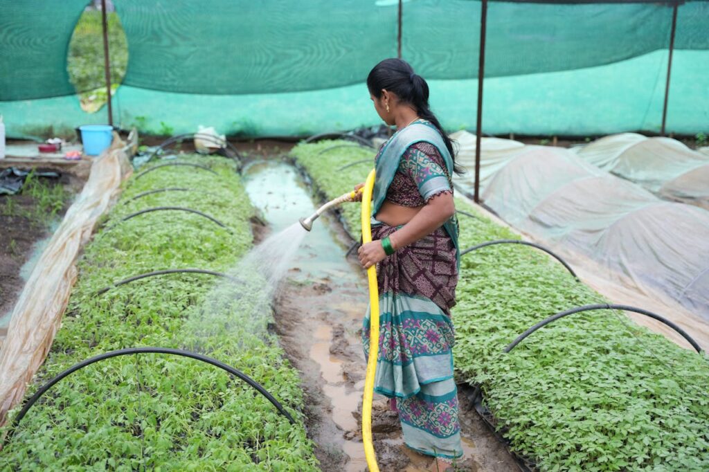 Watering Crops with Recycled Water