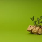 Greenwashing Examples
