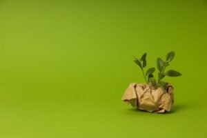 Greenwashing Examples