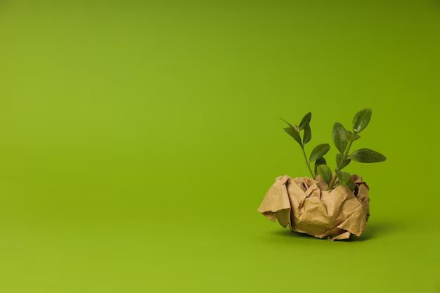 Greenwashing Examples