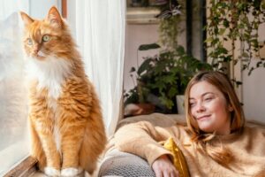 How Big Do Maine Coon Cats Get