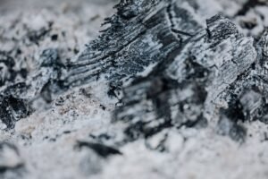 Is Wood Ash Good for Plants