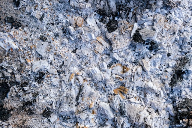 Is Wood Ash Good for Plants