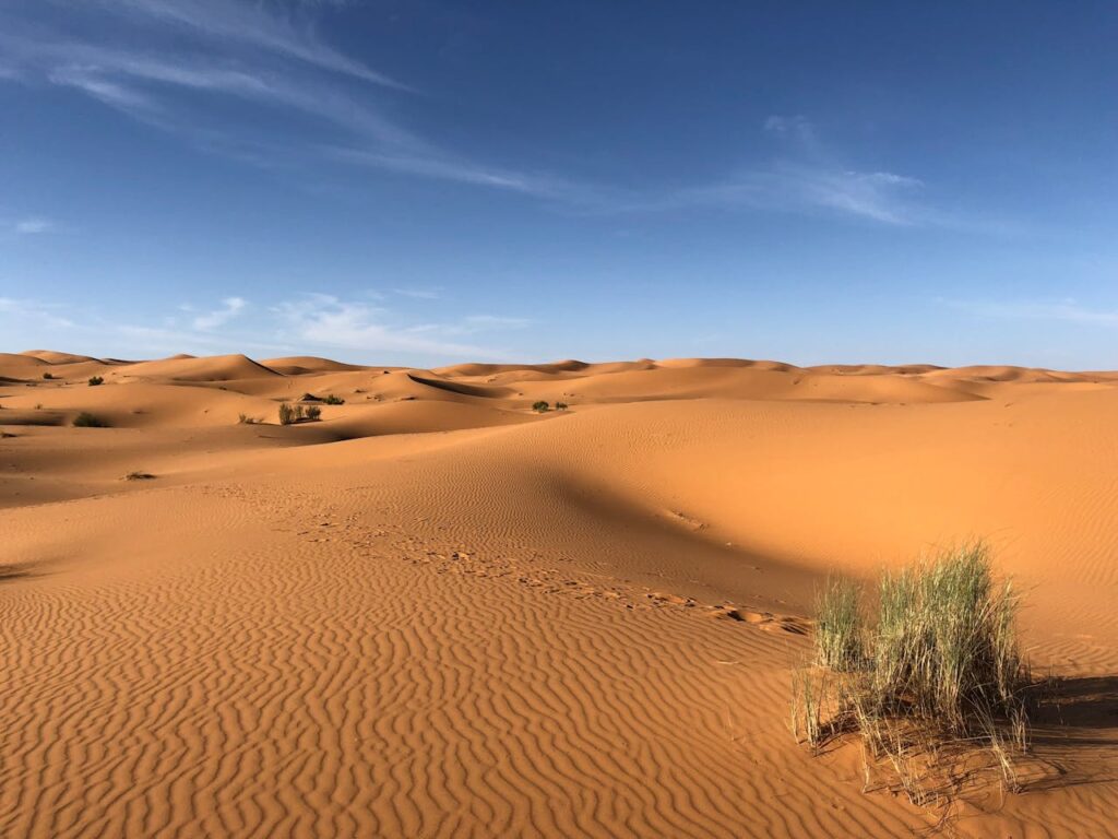 Sahara deserts