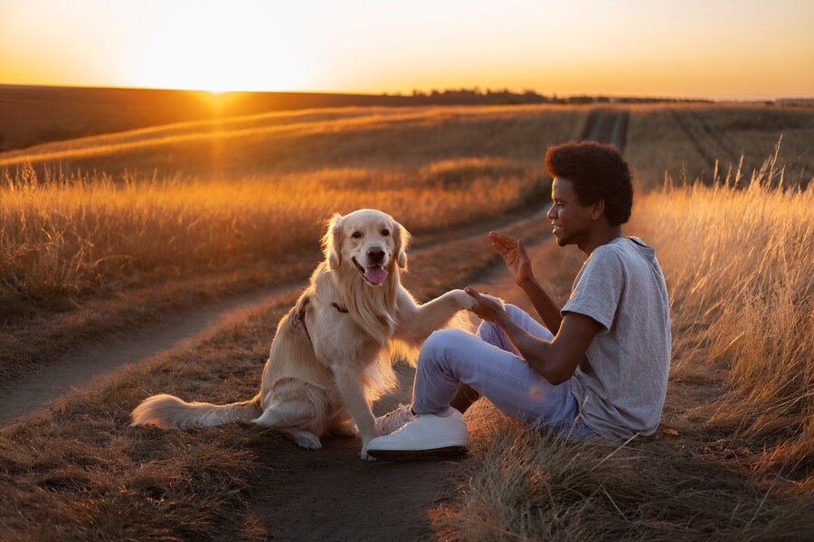 Dog with human