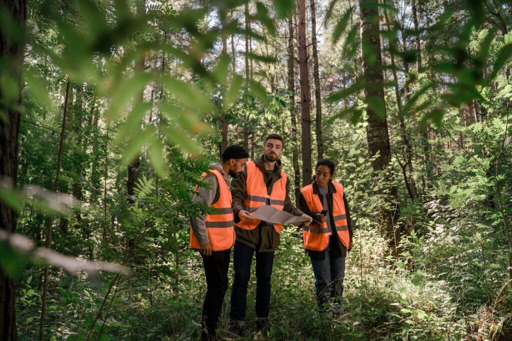 Forest Pre-Harvest Planning