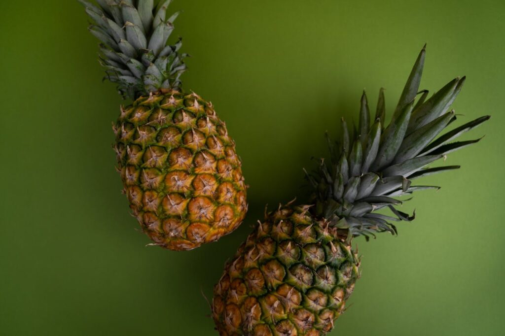 A ripe harvested pineapple