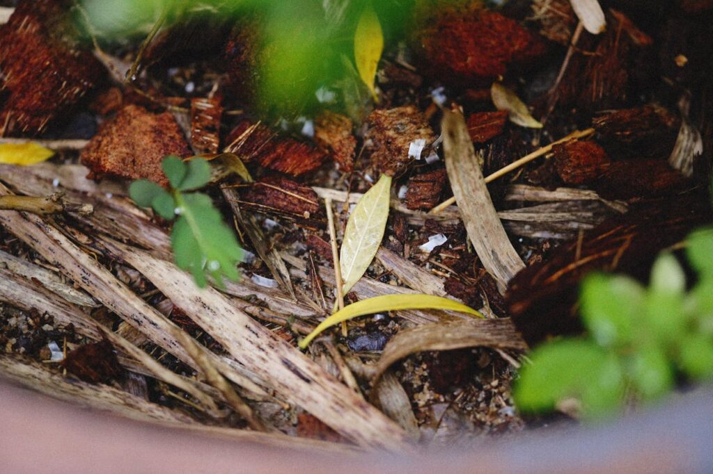 Composting Techniques for Wood