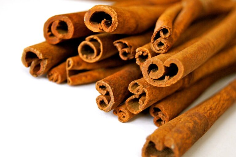 Does Harvesting Cinnamon Kill the Tree