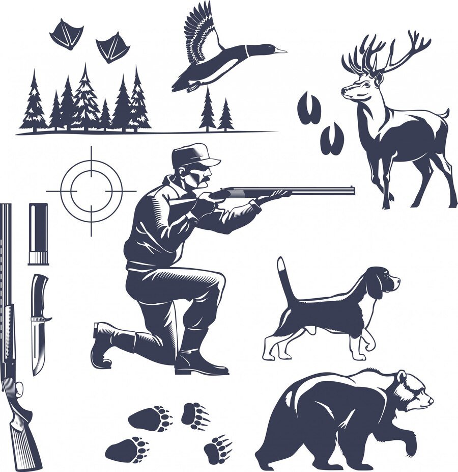 How Does Hunting Support Conservation Efforts