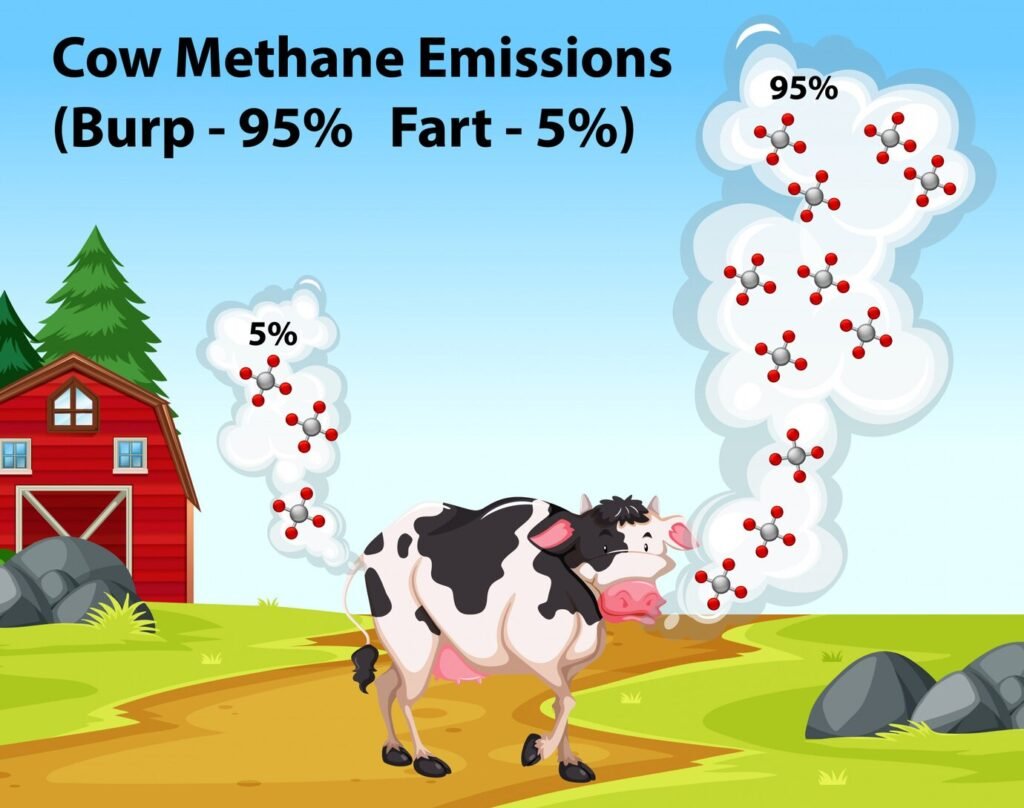 Methane (CH₄)