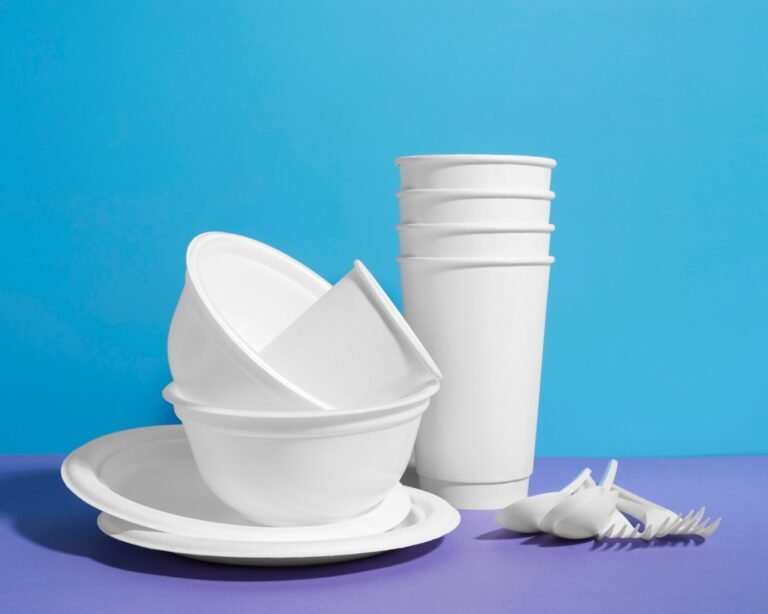 Single-Use Plastics Examples in Everyday Life | What is Green Living?