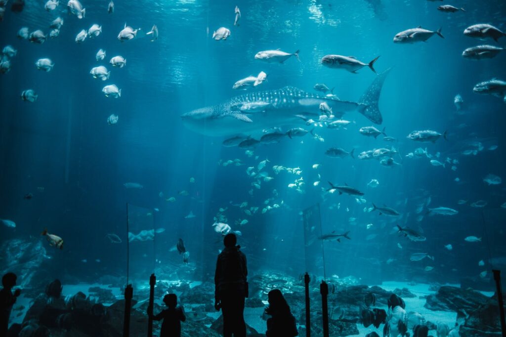 Aquatic Environments