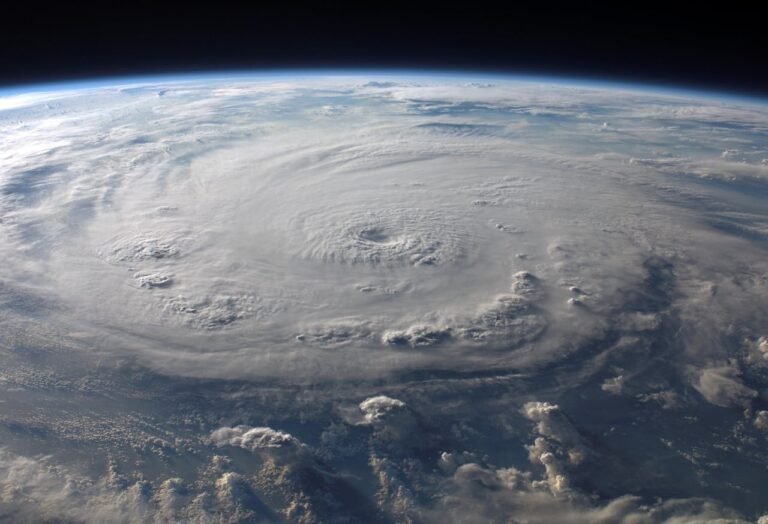 Types of Environments: Natural, Human-Made, and Their Impact on Our ...