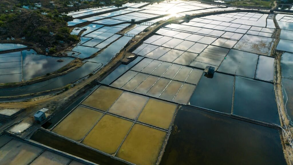 Fish Farming (Sustainable Aquaculture)