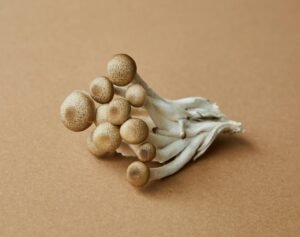 Is Mushroom Vegetarian or Non-vegetarian