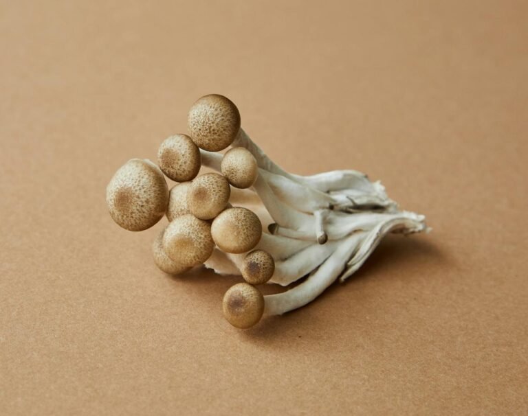 Is Mushroom Vegetarian or Non-vegetarian