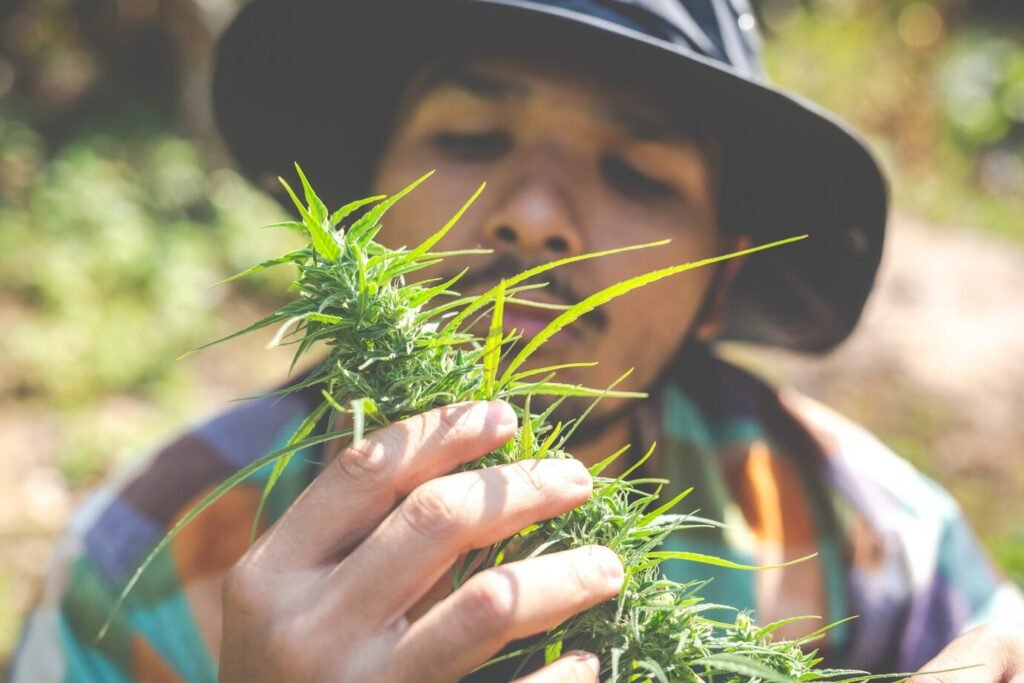 Organic Herb Farming