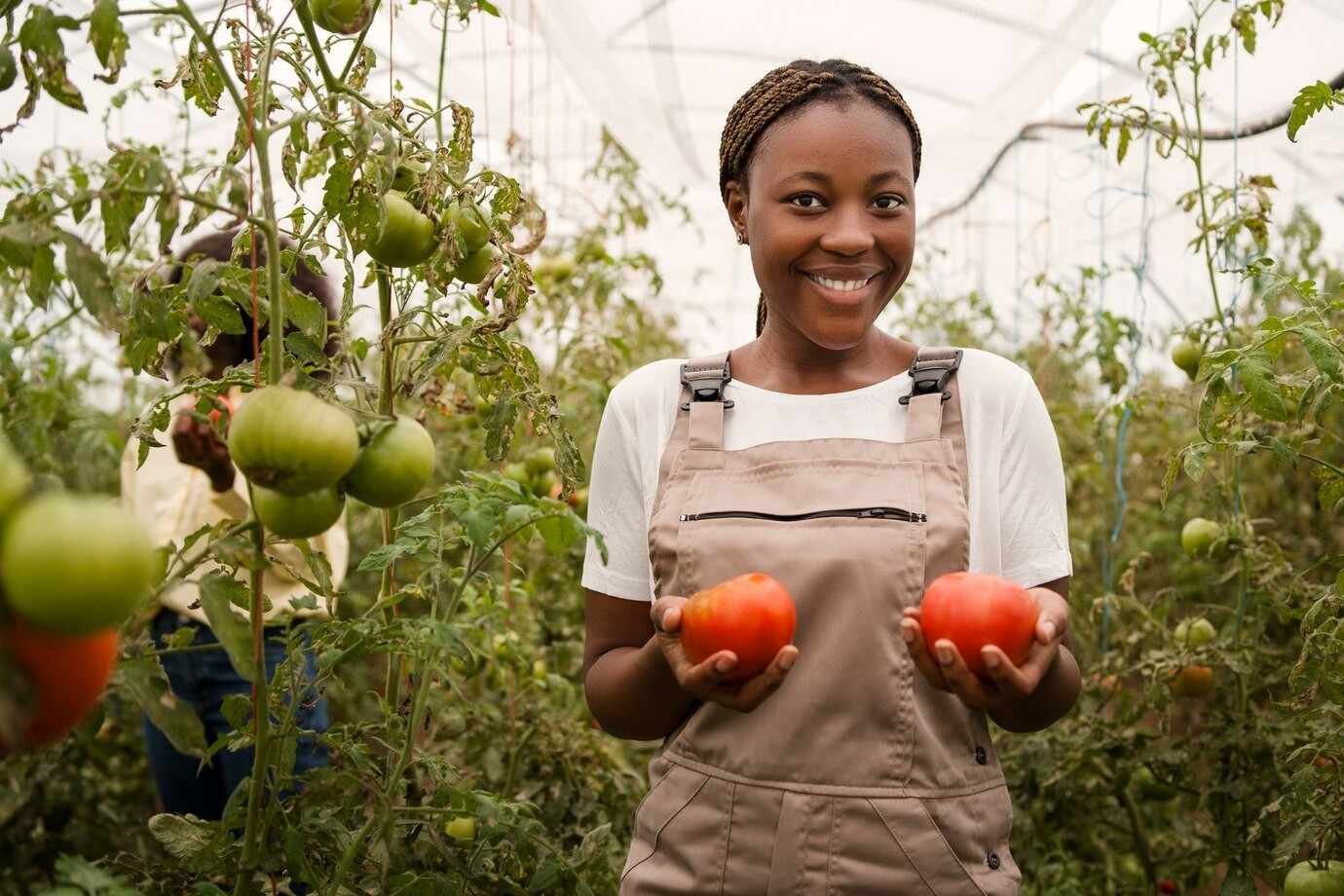 15 Profitable Sustainable Agriculture Business Ideas | What is Green ...
