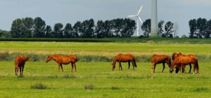 Sustainable Land Use Practices