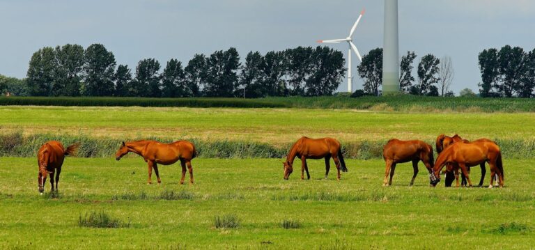 Sustainable Land Use Practices