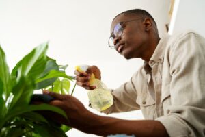 What Plants Not to Use Neem Oil On