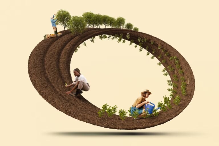 Climate Change Adaptation Strategies in Agriculture