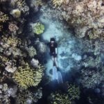 Green Fins - Sustainable Tourism for Coral Reef Protection