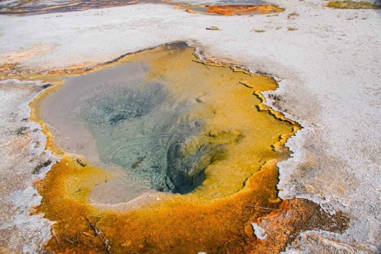 Hot potting in Yellowstone