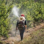 Pesticide Drift and Its Impact on Ecosystems