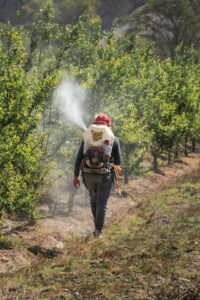 Pesticide Drift and Its Impact on Ecosystems