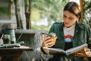 Sustainability Studies