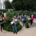 What Are 5 Benefits of a Community Garden