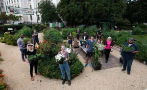 What Are 5 Benefits of a Community Garden