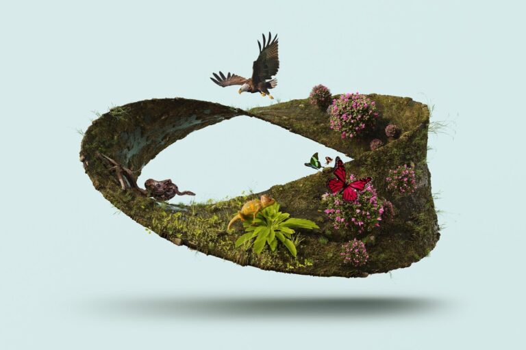 What is Rewilding and Why is it important