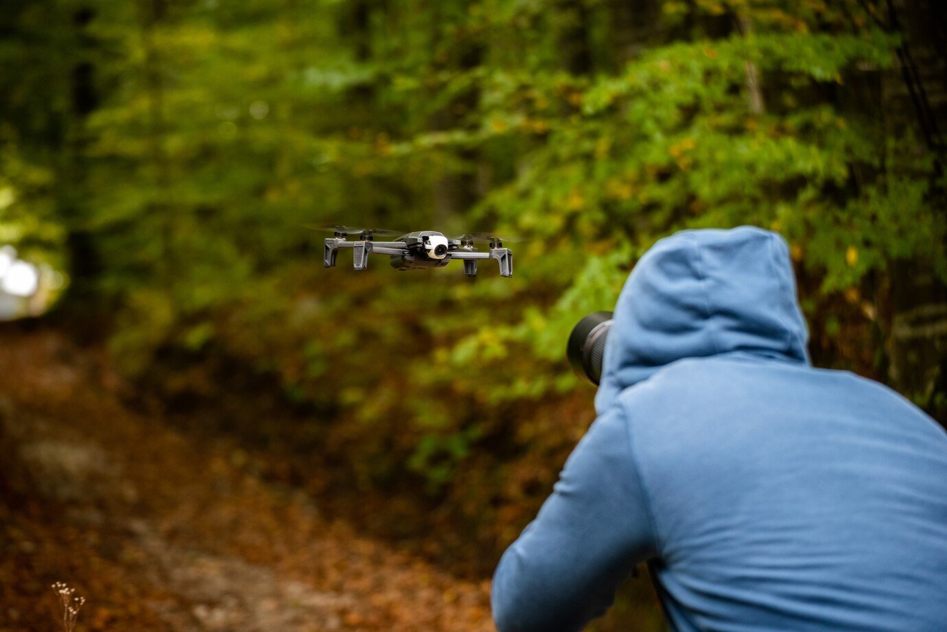 AI In Wildlife Conservation