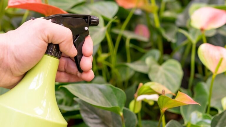 Common Plant Diseases