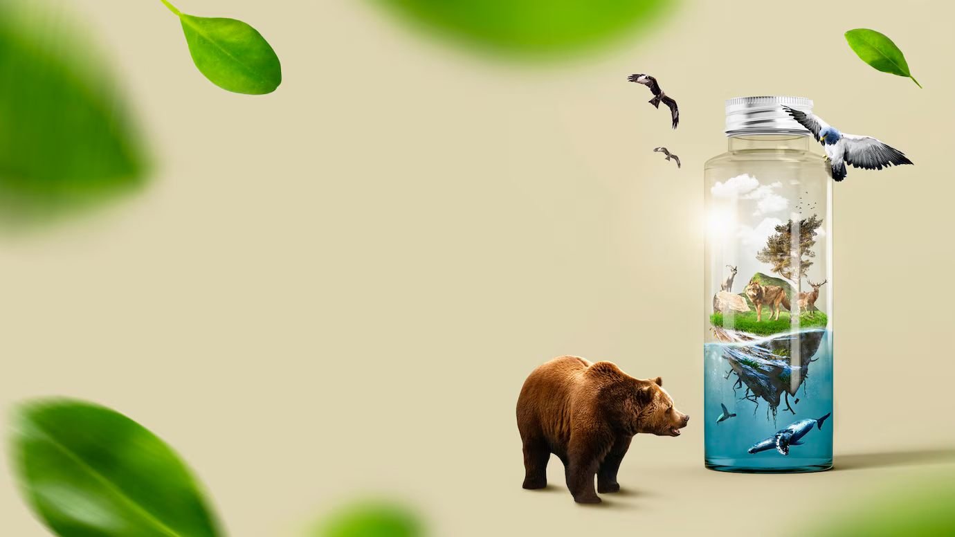 Conservation Technologies
