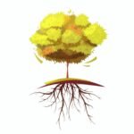 Deep-Rooted Plants for Erosion Control