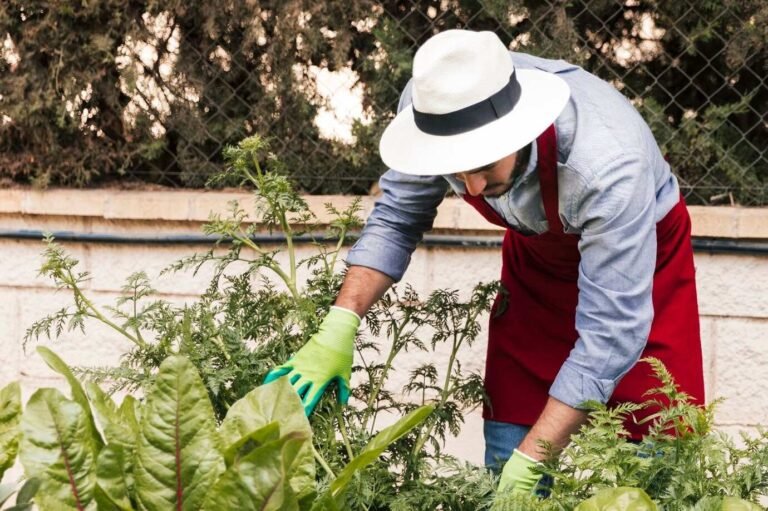Natural Ways to Kill Weeds