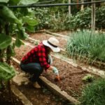 Permaculture Definition, Principles & Examples