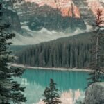 What Is a Wilderness Area