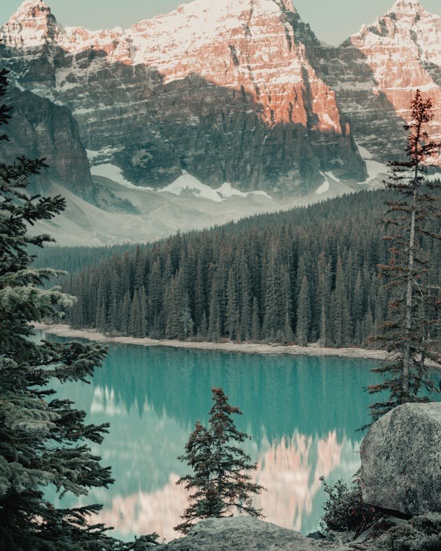What Is a Wilderness Area