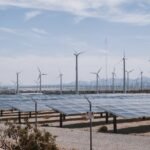 Wind and Solar Projects Are Harming Biodiversity