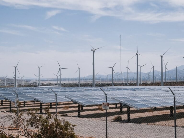 Wind and Solar Projects Are Harming Biodiversity