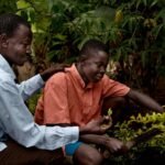 Forest Garden Initiative Brings Regenerative Agroforestry to Africa’s Sahel Region
