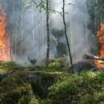 How to Fight Wildfires Without Harming the Environment