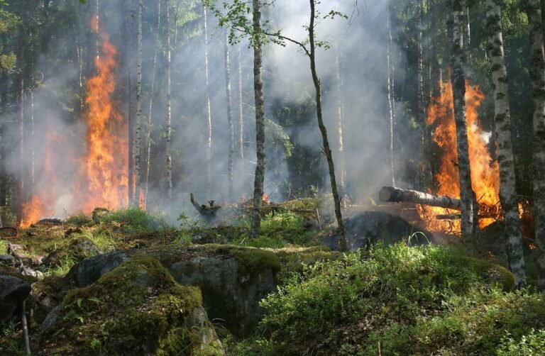 How to Fight Wildfires Without Harming the Environment