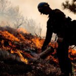 Prescribed Burning Cuts Wildfire Damage and Pollution